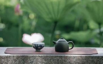 衣食与修养发言稿800字5篇