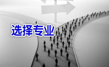 大学生选专业调查报告7篇