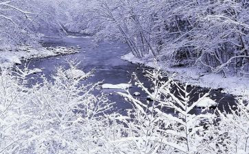 雪国读后感8篇
