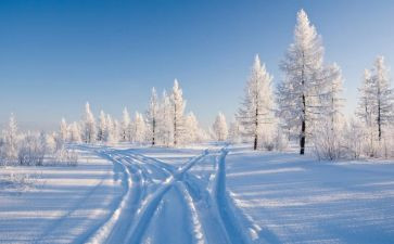 校园除雪心得体会6篇