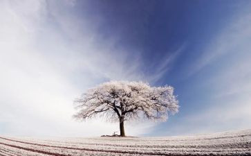 除雪义务心得体会5篇
