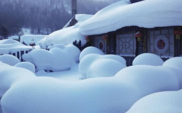 除雪义务心得体会参考5篇