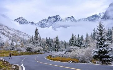 雪读后感100字模板7篇