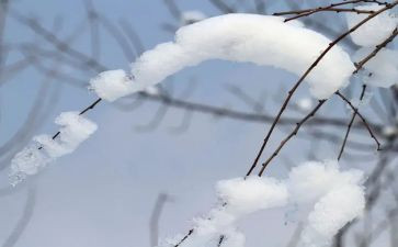 关于雪的作文200字最新6篇