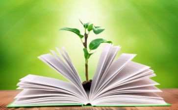 英语科九上教学工作总结5篇