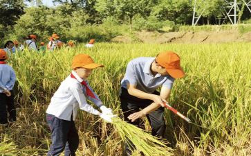 大学农训心得体会优秀6篇