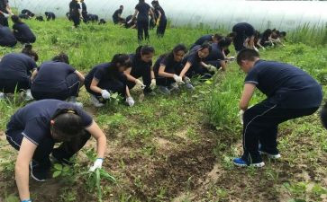 大学农训心得体会5篇