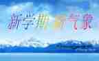 学期对团的总结报告参考5篇