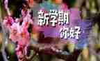 新学期英语工作计划8篇
