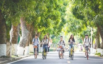 学生会大学生个人总结精选8篇