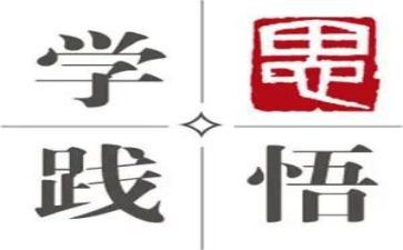 学思践悟心得体会5篇