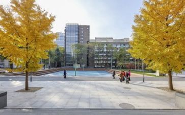 在学校的心得体会5篇