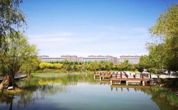 学校2023期末总结报告6篇