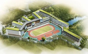 学校纪心得体会推荐6篇