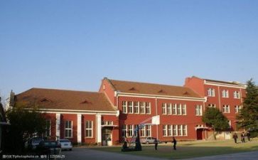 学校调查报告最新5篇