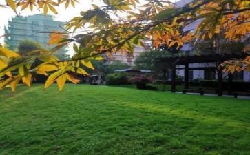学校军训完后心得体会最新8篇