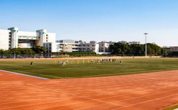 学校2023期末总结报告精选8篇