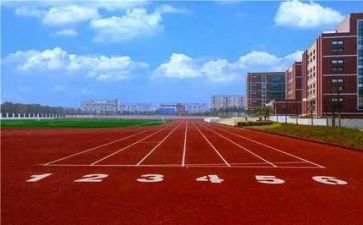对学校心得体会500字6篇