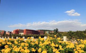 学校除蝇工作计划优质8篇