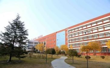 我在学校作文模板8篇