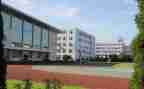 学校管理自查报告模板8篇
