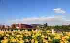 学校教师工作培训工作计划7篇