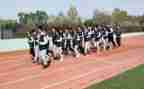 学校体育教学总结5篇