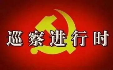 巡察组个人总结6篇