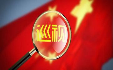 向巡察组工作汇报材料6篇