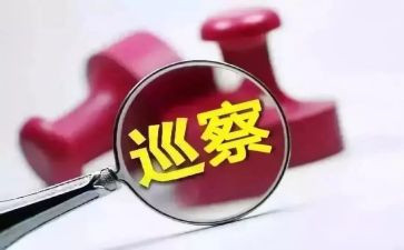 巡察工作总结5篇