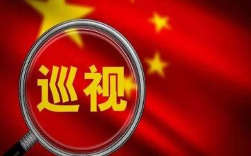 巡视对照材料6篇
