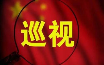 工作被巡视的心得体会8篇