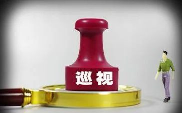 巡视心得体会5篇