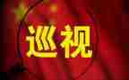 工作被巡视的心得体会8篇