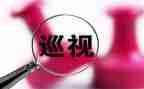 巡视个人工作总结6篇