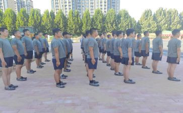 职业培训学校培训计划8篇