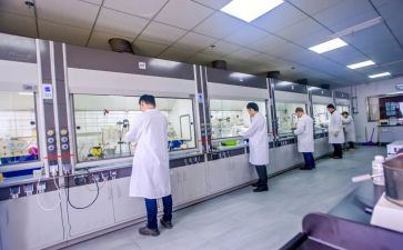 研发部月总结报告8篇