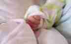 乖宝宝幼儿园教案5篇