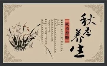 做养生粥心得体会7篇
