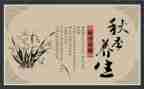 做养生粥心得体会7篇