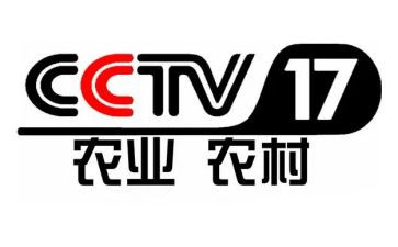 央视心得最新5篇