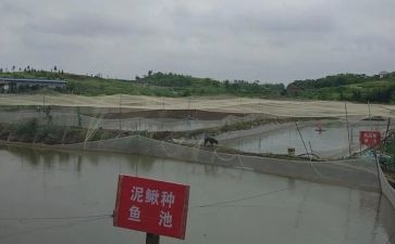 养殖班心得体会6篇