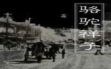 我的样子的作文5篇