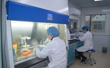 化验员述职报告7篇