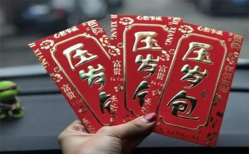 压岁书作文5篇