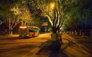 夜莺的读后感7篇