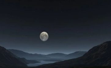 仲夏夜作文8篇