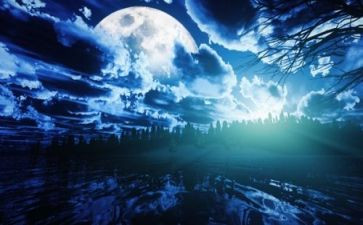家乡的夜景作文8篇