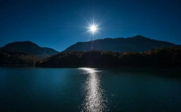 仲夏夜作文优秀7篇