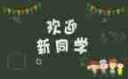 迎新活动个人总结7篇